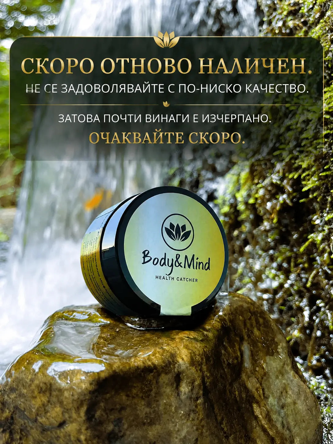 Himalayan Shilajit (20g) - RESIN